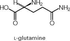 L-Glutamine and Clenbuterol