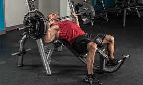 Health • Supplements & Vitamins Bodybuilding Supplements, Creatine Myths & Facts