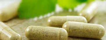 Importance of Herbal care Products