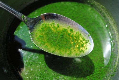 Liquid Chlorophyll - "green blood" with anticancerigen and purifying properties