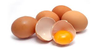 Egg Protein- The Best Treat for your Body