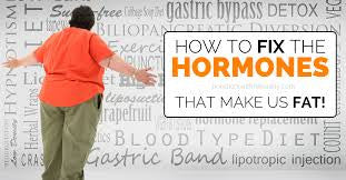 Health Insulin, Leptin & Ghrelin: The 3 Fat Hormones