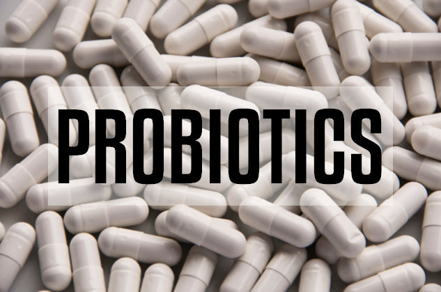 The Role of Probiotics in Natural Health