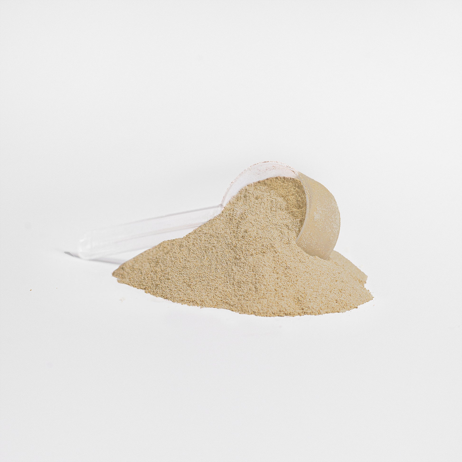 NRG BUILD: Whey Protein Performance Blend – Vanilla-NRG Sports Nutrition-NRG Sports Nutrition
